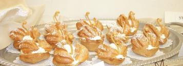 Swans