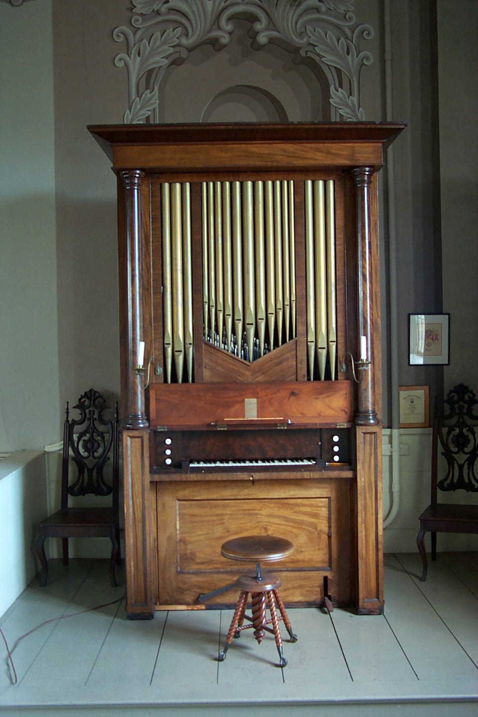 organ